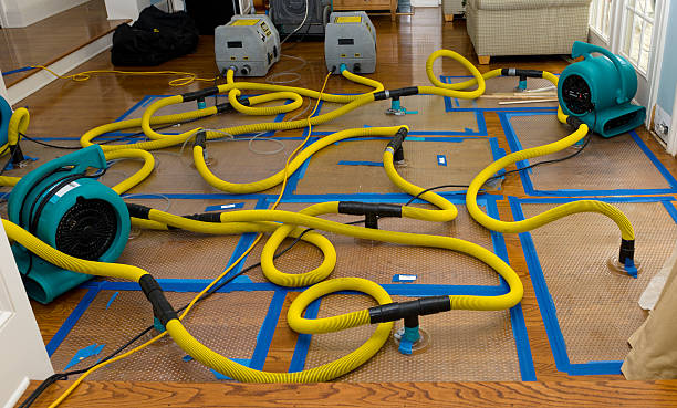 Professional Water Extraction technician working in Lakewood, NY